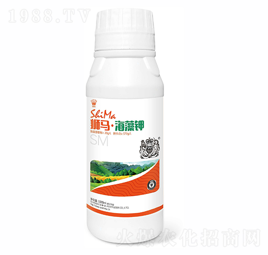 �����1000ml-�{�R�ʘI(y��)