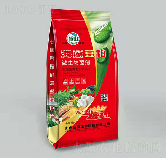 �tɫ���b���嶹��΢�������-��������