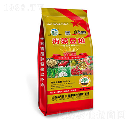 5�|�����嶹��΢�������-��������