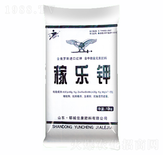 �ژ�(l��)�-�ѿ�