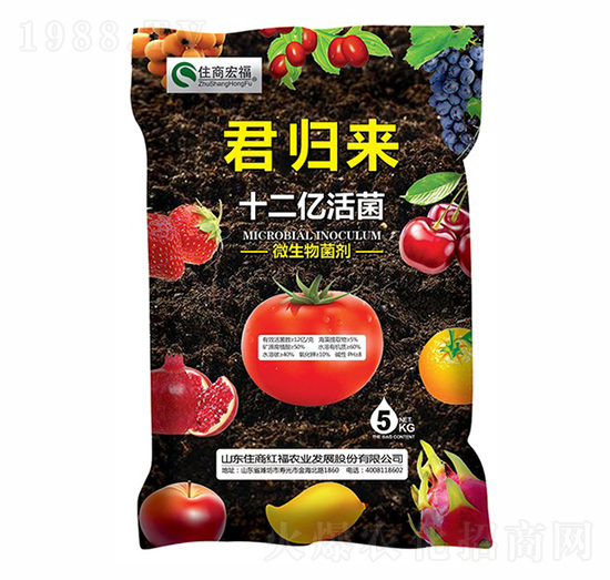 ʮ���|���-���w��-ס�̺긣