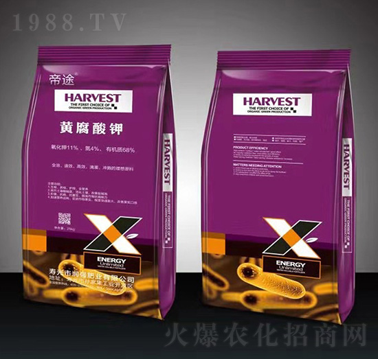 �S�����-��;