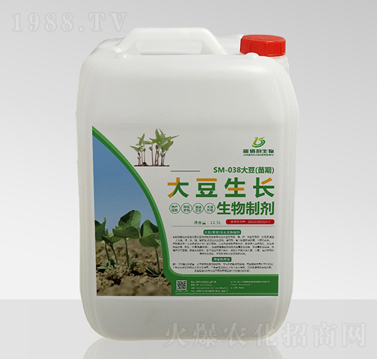 SM-038���������L�����Ƅ�-�ΰ�������