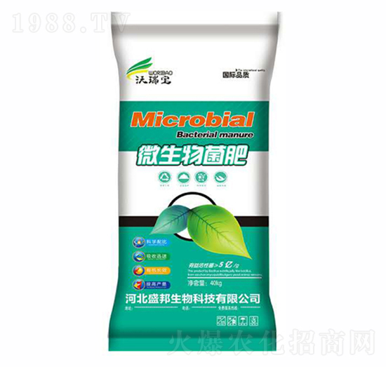 ΢�������-ʢ������