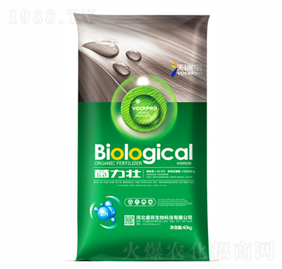 ������-������-ʢ������