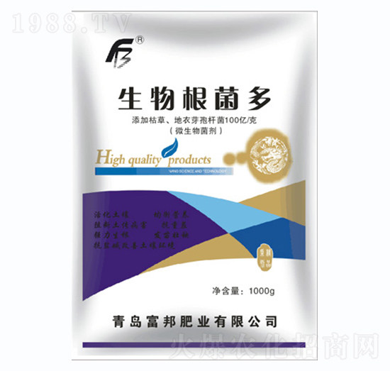 ���������-����ʘI(y��)