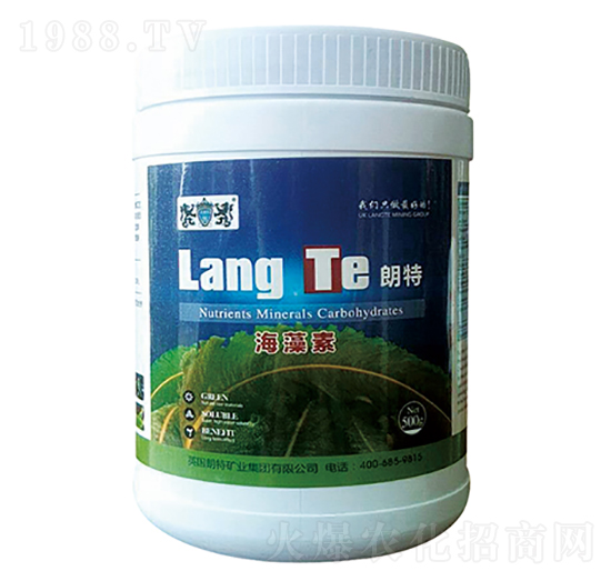 ������-Ӣ����