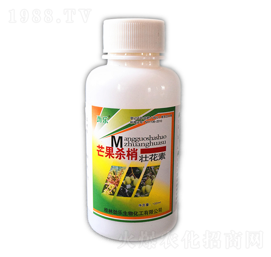 100mlâ�����҉ѻ���-�Ř�-���_����