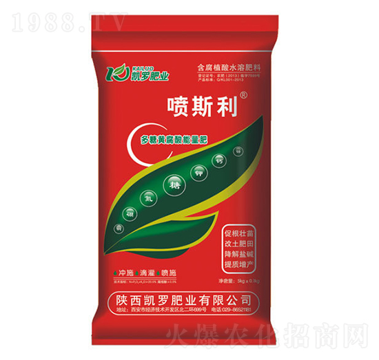 �����S����������-�P�_�ʘI(y��)