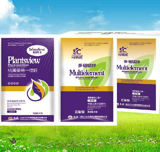 ���Sή��һ����+�����i�\-������