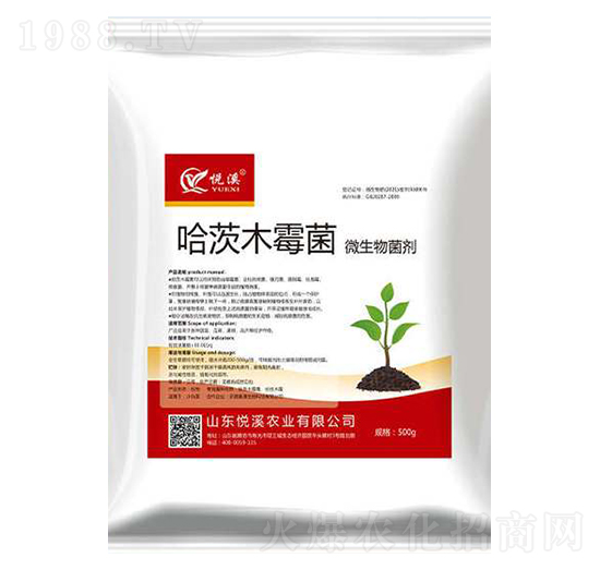 ΢�������-����ľù��-��Ϫ