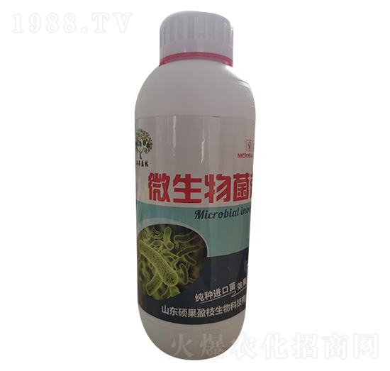 ΢�������-�T��ӯ֦