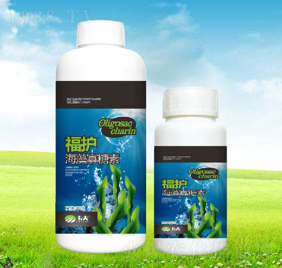 ���������-���o-����