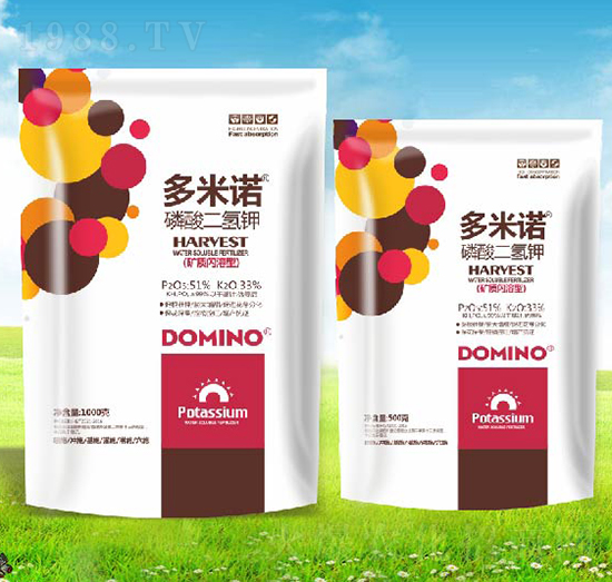 �����Z��������-����