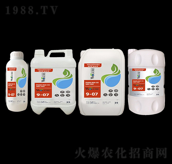 �~����9-07-�ָ���