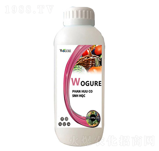 ø���~�����ģ�ƿ�b��-�ָ���