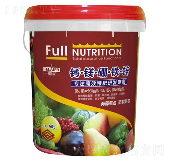 �}�V���F�\-ؐ�Z