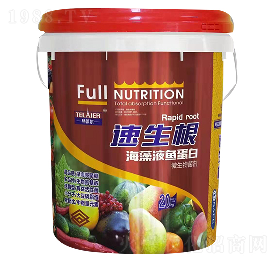 ����������Һ�~����-ؐ�Z