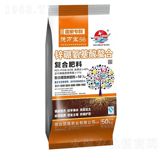 �ͺϷ���25-8-9-���f��56-��չ��