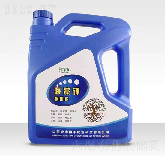 �����-������-���S�ʘI(y��)