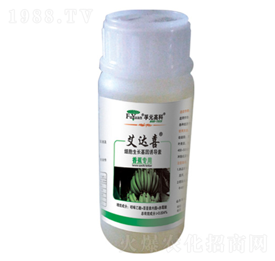 �㽶����-���_ϲ-��Ԫ