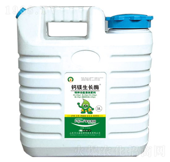 �}�V���Lø-��Ԫ