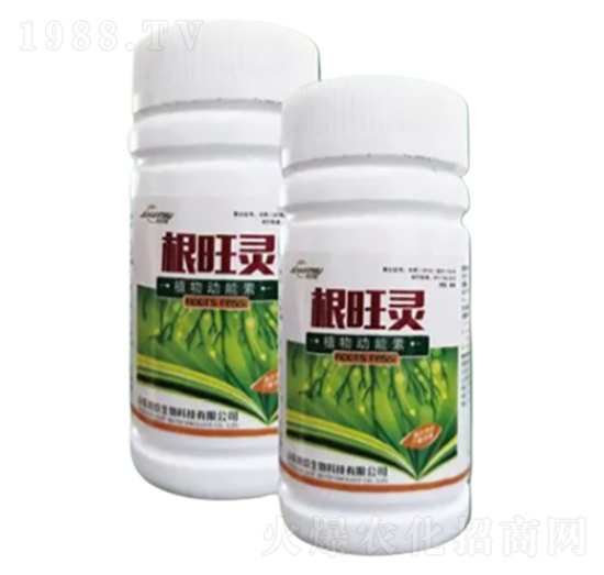 �����`-�ؾ�����