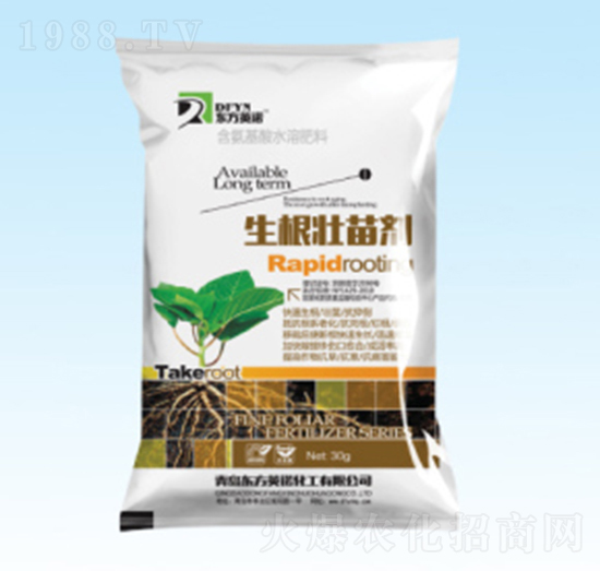 �������焩-�|��Ӣ�Z