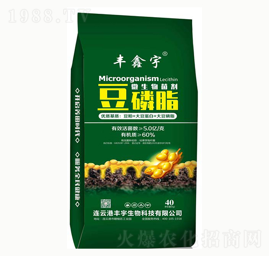 ����֬΢�������-�S����-�S������