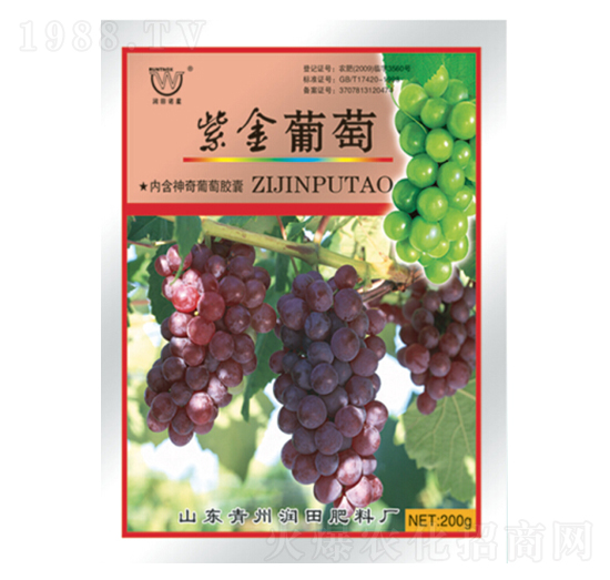 �Ͻ�����-�������