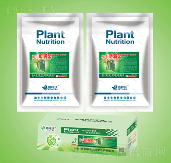 ���b�_ʩ��-�ϝM��-��S����