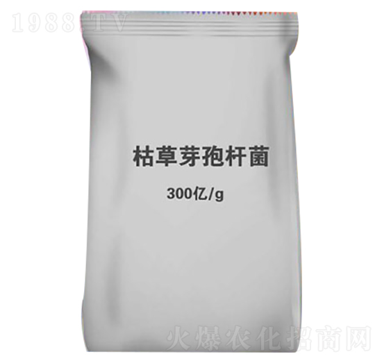 �ݲ�ѿ�ߗU��-�������