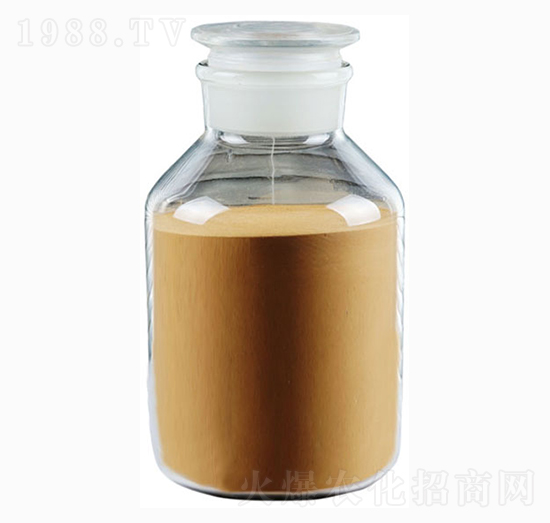 �V�V��(f��)�Ͼ���-�������