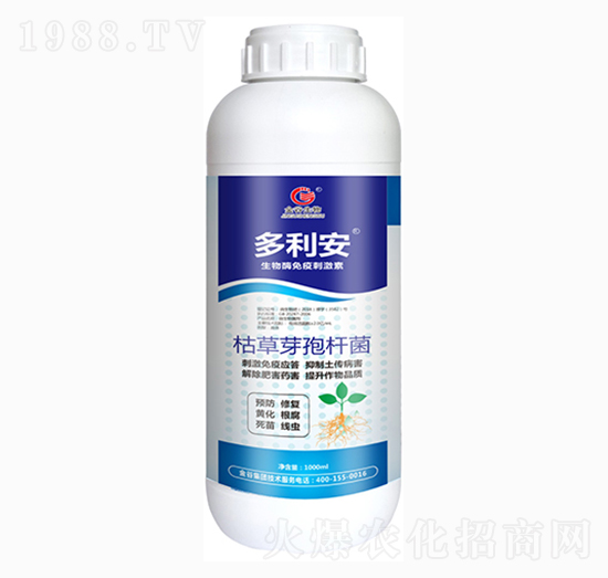 �ݲ�ѿ�ߗU��-������-�������