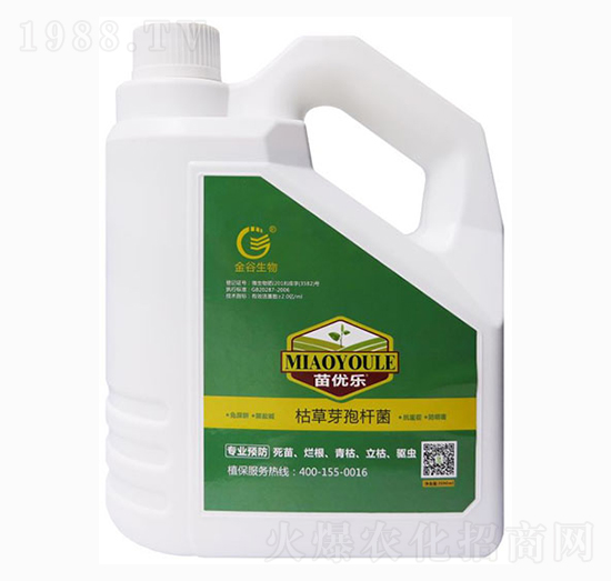 �ݲ�ѿ�ߗU��-�烞(y��u)��-�������