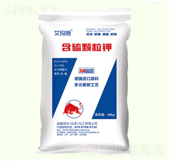 �����w���-����ʩ-������S