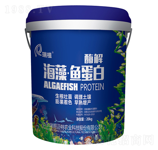 ø�⺣���~(y��)����-��ֲ-���w�~��