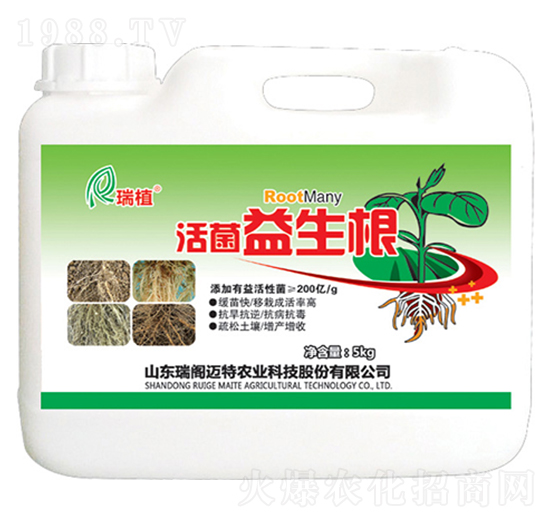 ���������-��ֲ-���w�~��