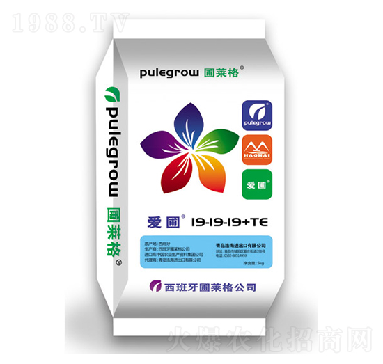 �M�ڸߝ�ȏͺϷ���19-19-19+TE-����-�ƺ�