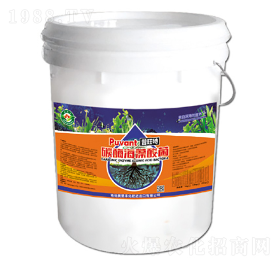 ̼ø�������-������-�W���S