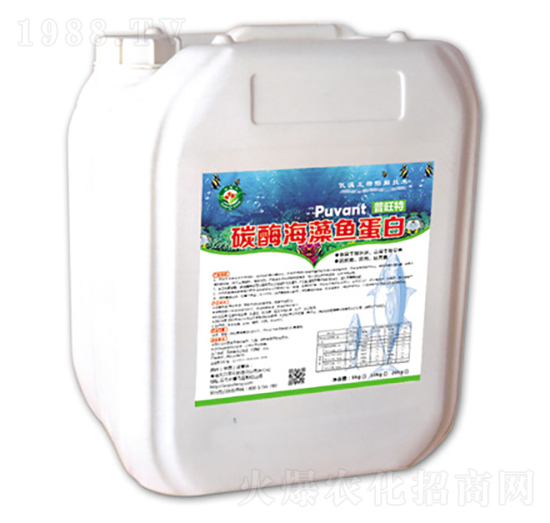 10kg̼ø�����~����-������-�W���S