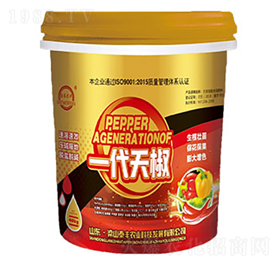 һ���콷��������-��ɽ̩�S