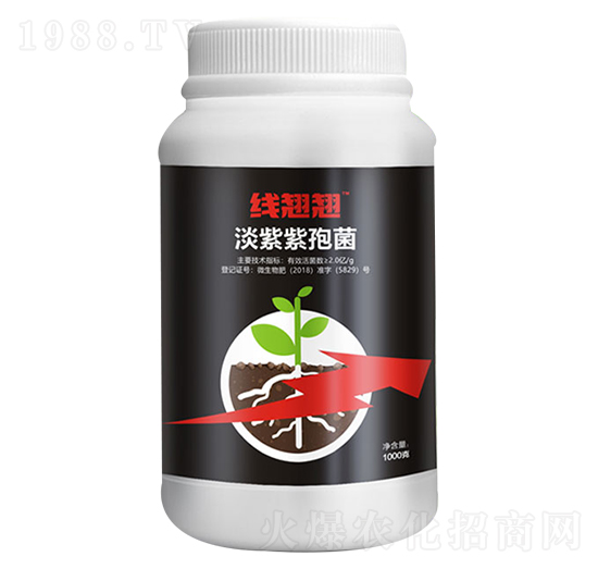 �������߾�-���N�N-�����_