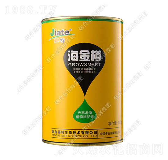 ������-��������