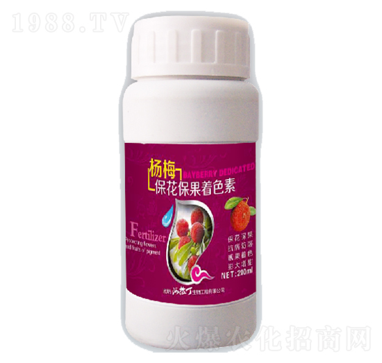 ��÷����������ɫ��-������