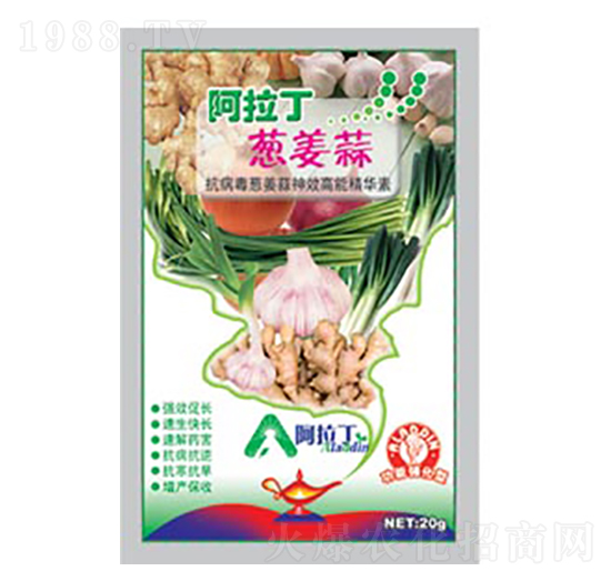 20g�[���⌣��-������