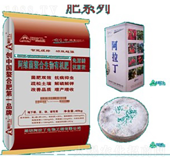 ���¸��o���-���S�������������ЙC��-������