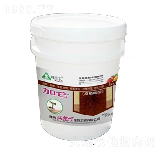 �Ӂ�����ֲ���ͣ�-������