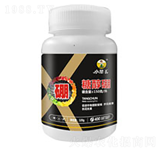 �Ǵ���-����������