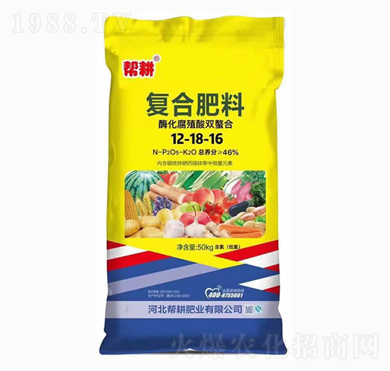 �ͺϷ���12-18-16-�͸��ʘI(y��)